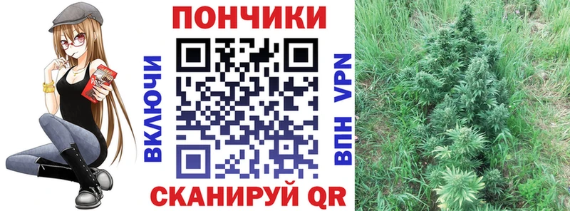 наркота  Шлиссельбург  Бошки Шишки планчик 